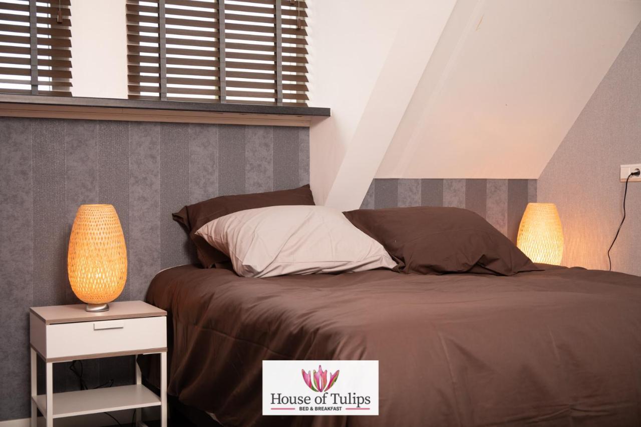 Hotel House Of Tulips