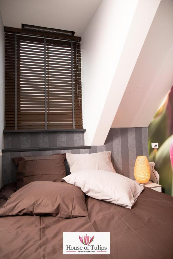 House Of Tulips Hotel