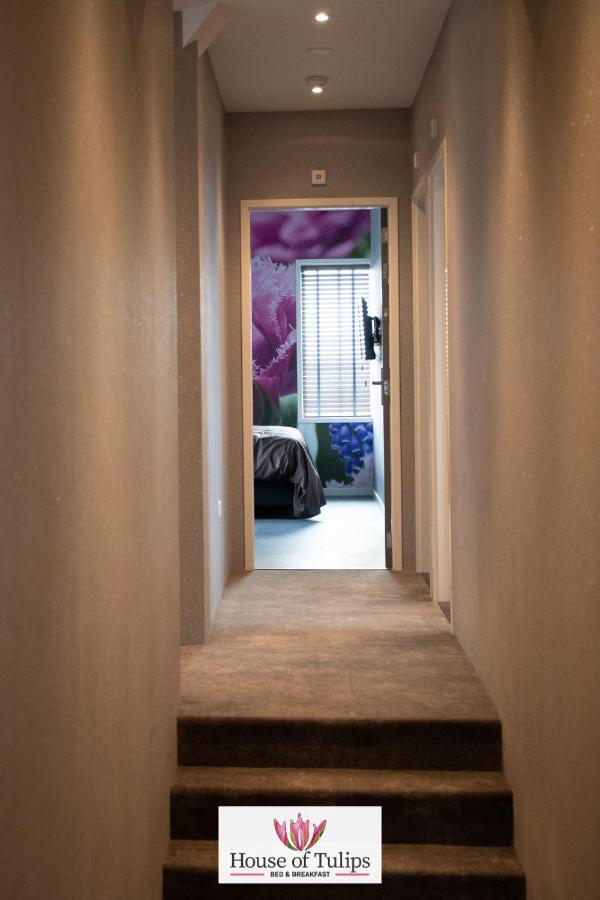House Of Tulips Hotel 3*